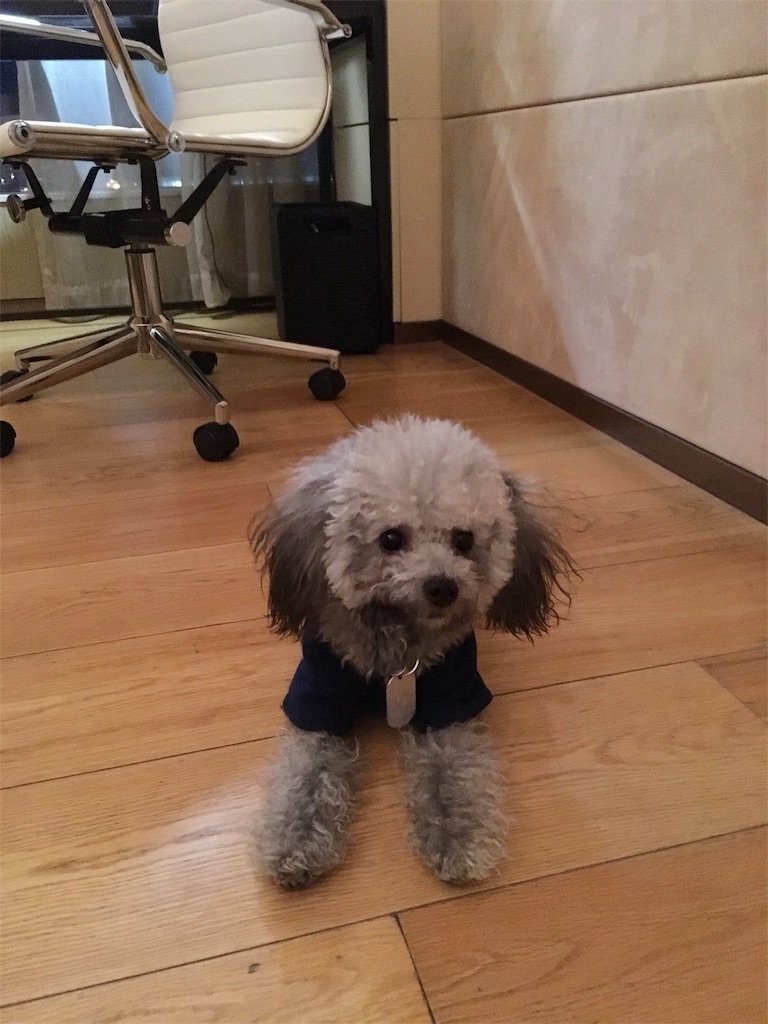 f:id:minghuabj:20190105114251j:image