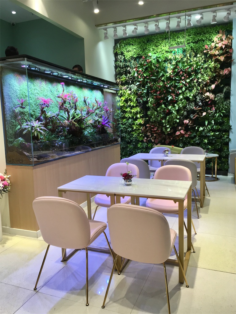 f:id:minghuabj:20190214004838j:image