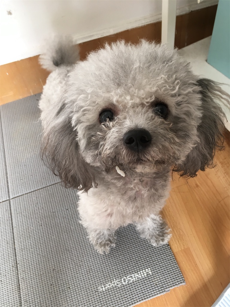 f:id:minghuabj:20190308074728j:image