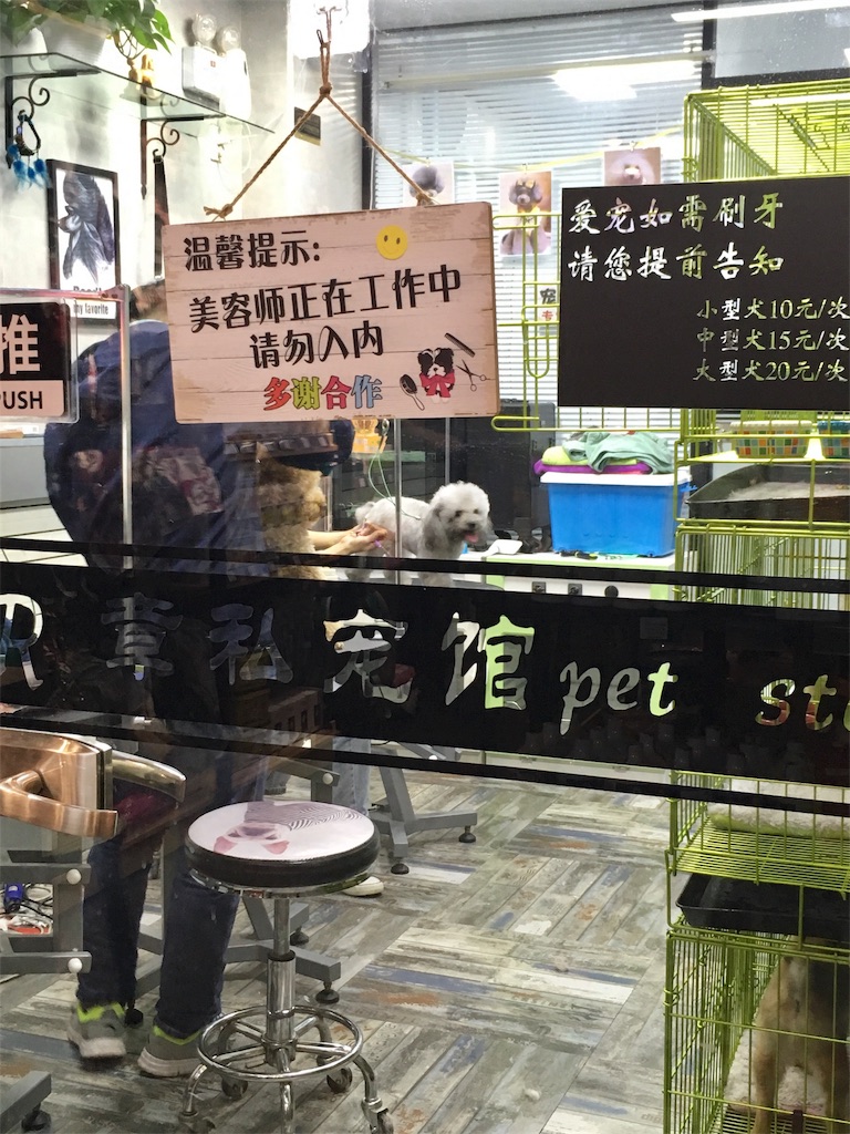f:id:minghuabj:20190310195134j:image
