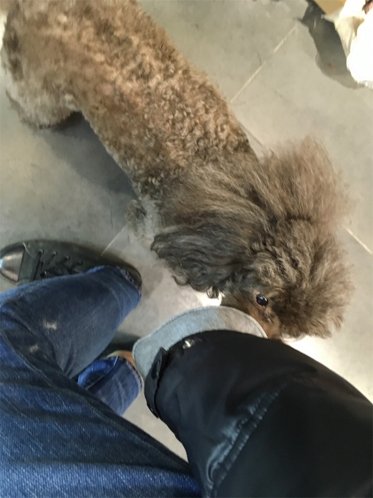 f:id:minghuabj:20190310195147j:image