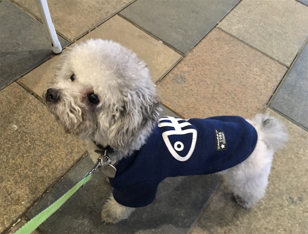 f:id:minghuabj:20190405234710j:image