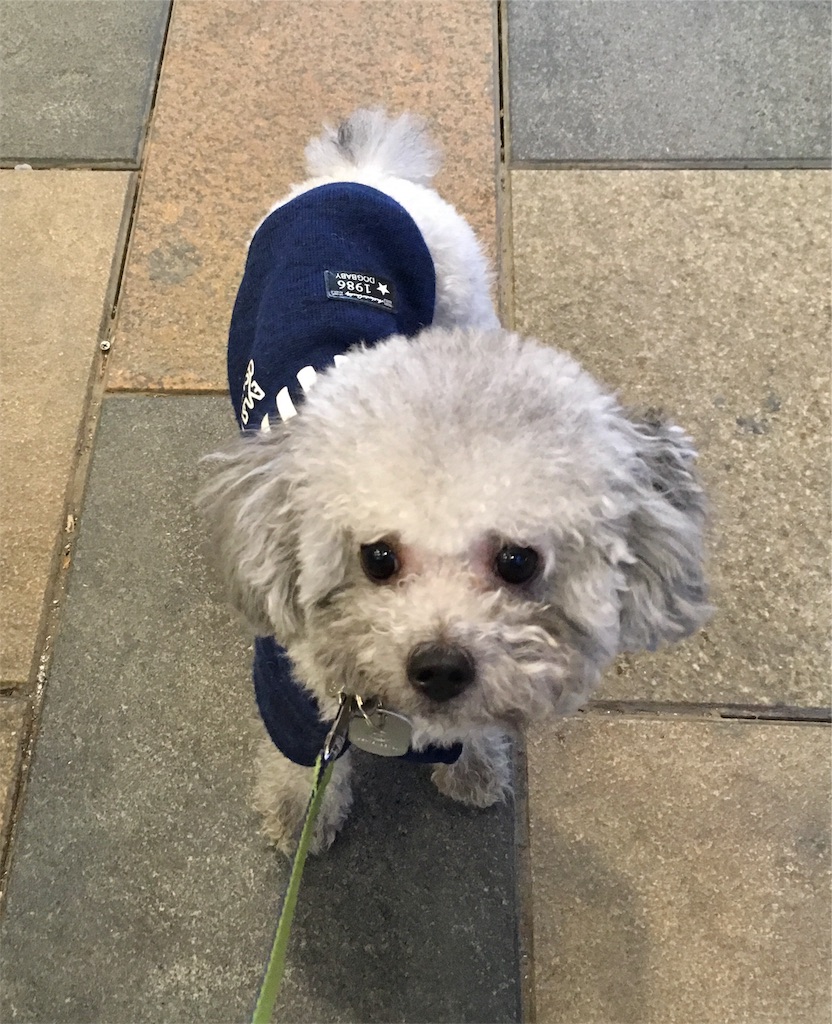 f:id:minghuabj:20190405234723j:image