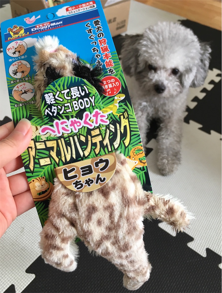 f:id:minghuabj:20190414013236j:image