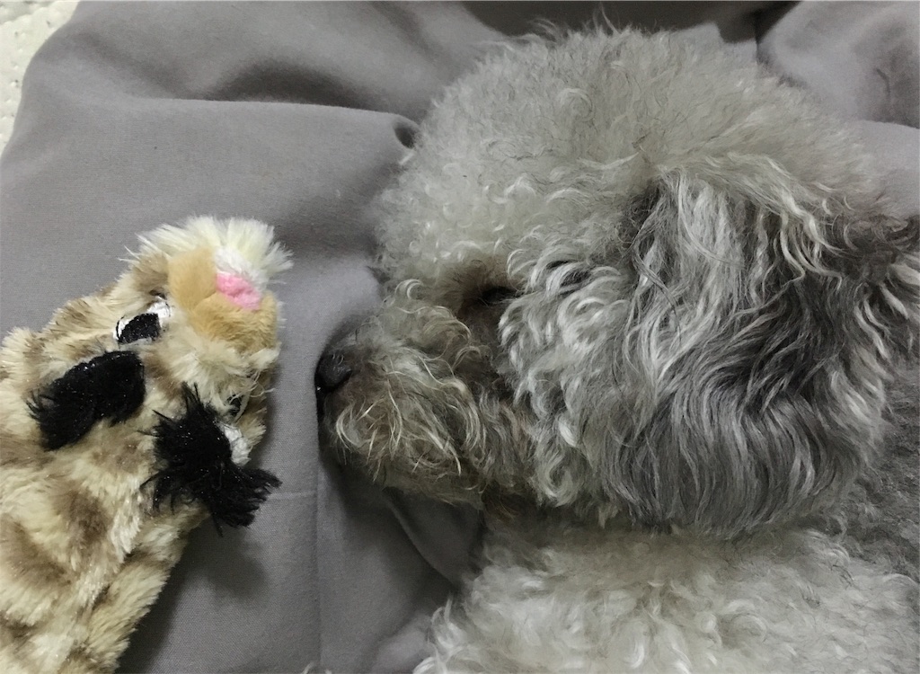 f:id:minghuabj:20190419125647j:image