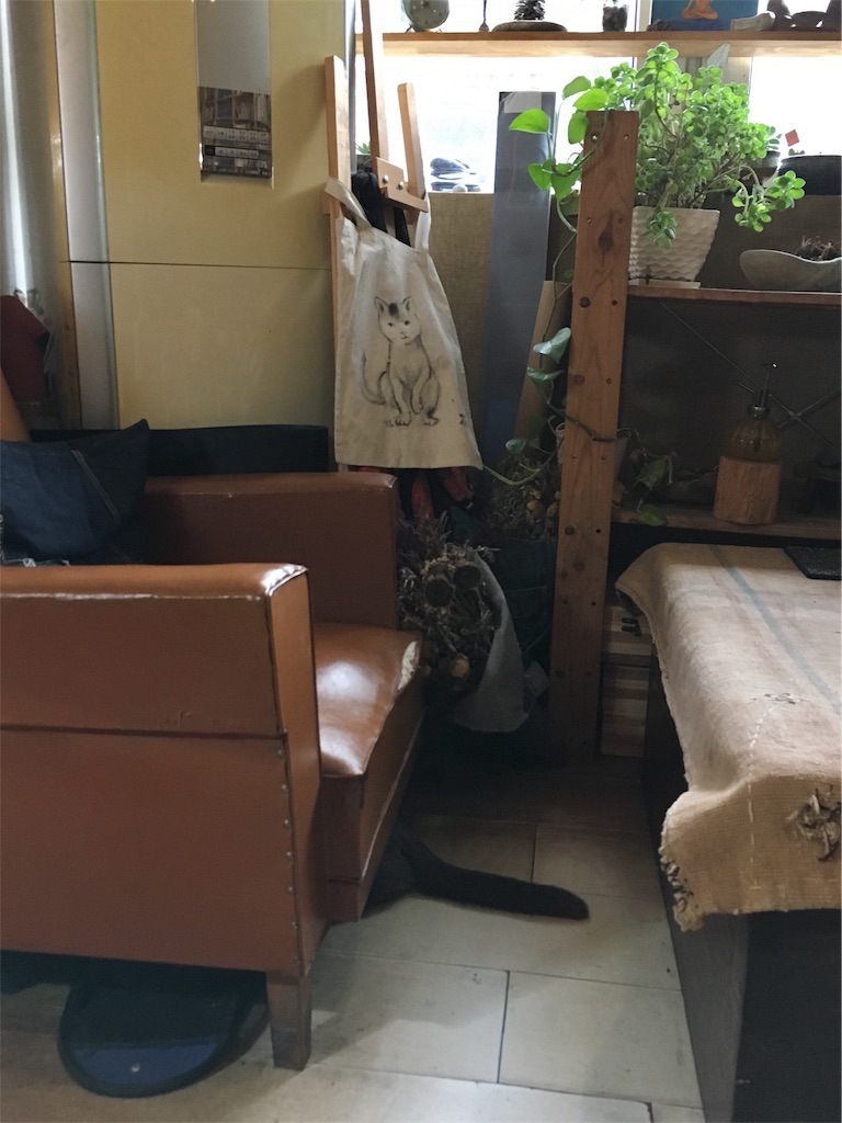 f:id:minghuabj:20190421115207j:image