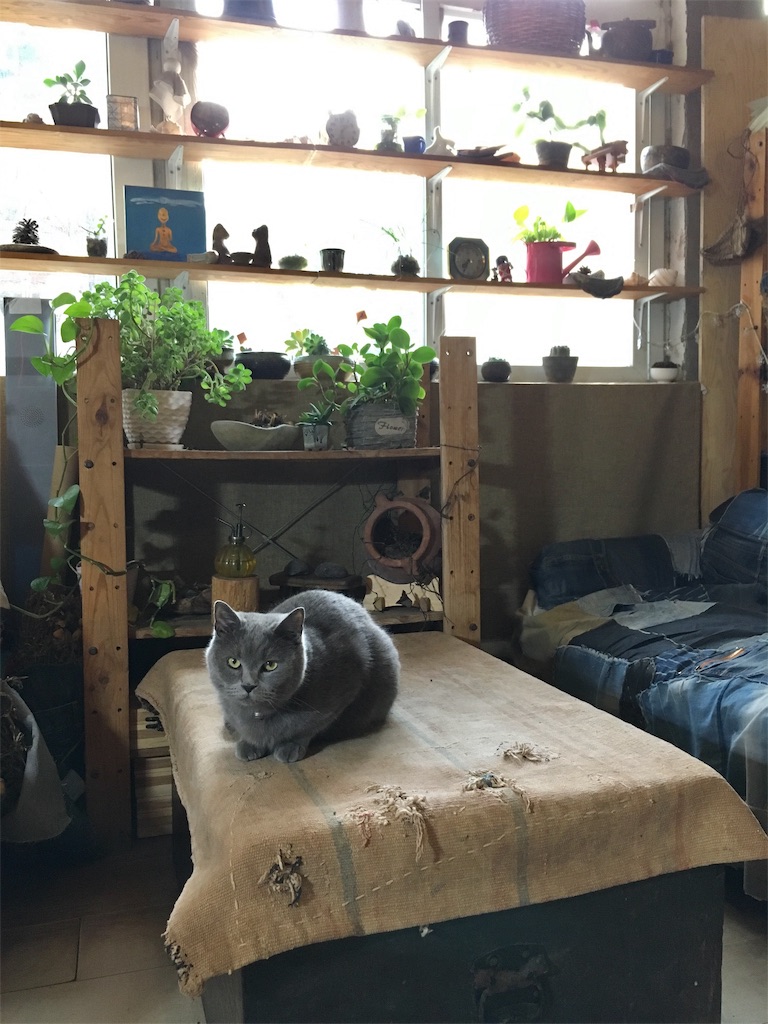 f:id:minghuabj:20190421212730j:image
