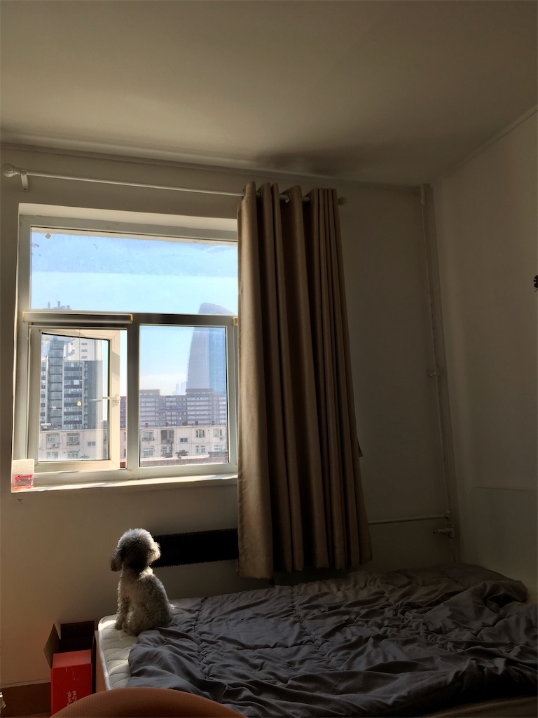 f:id:minghuabj:20190528230632j:image