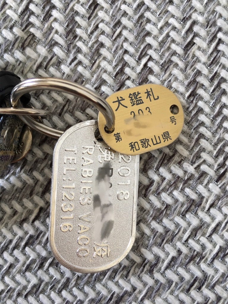 f:id:minghuabj:20190530112936j:image