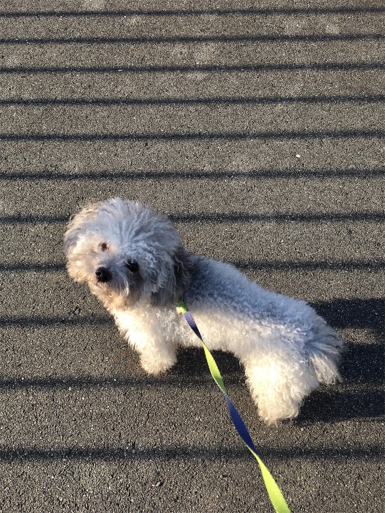 f:id:minghuabj:20190530113002j:image