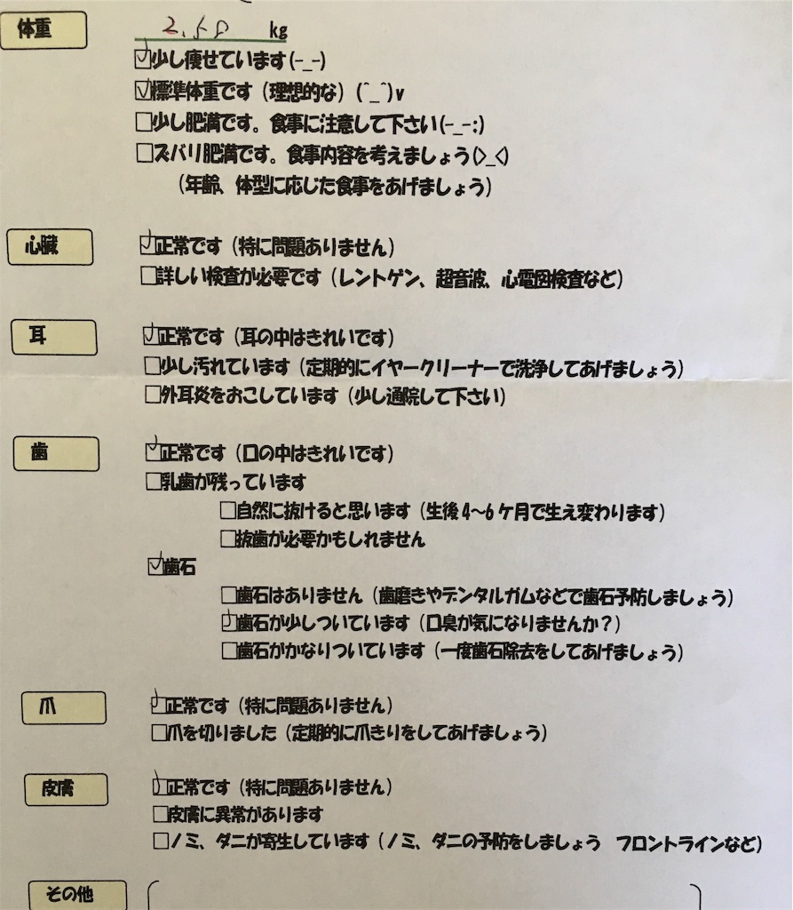 f:id:minghuabj:20190530113454j:image