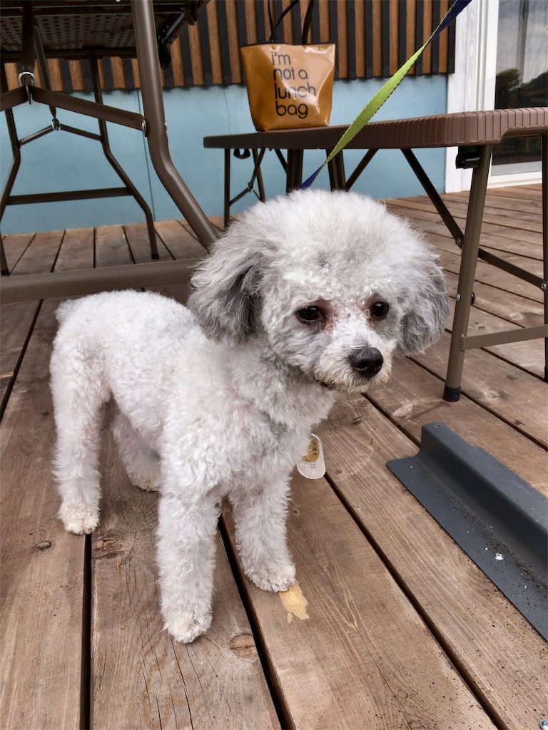f:id:minghuabj:20190724085300j:image