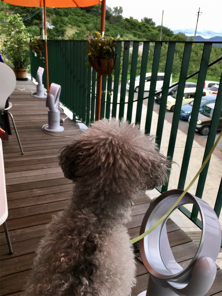 f:id:minghuabj:20190724085440j:image