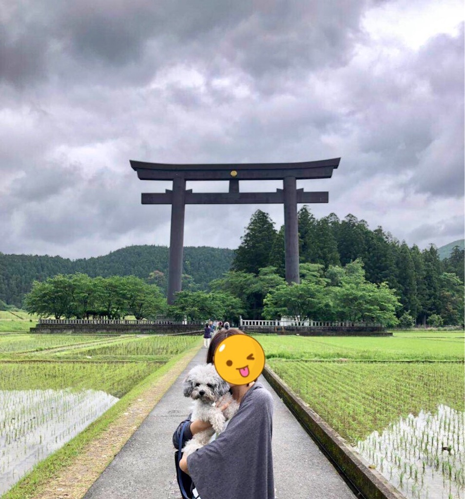f:id:minghuabj:20190821225038j:image