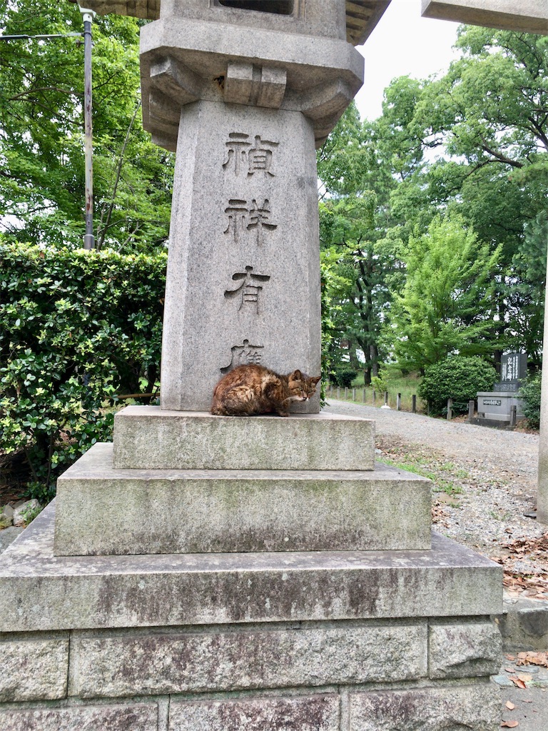 f:id:minghuabj:20190825122058j:image