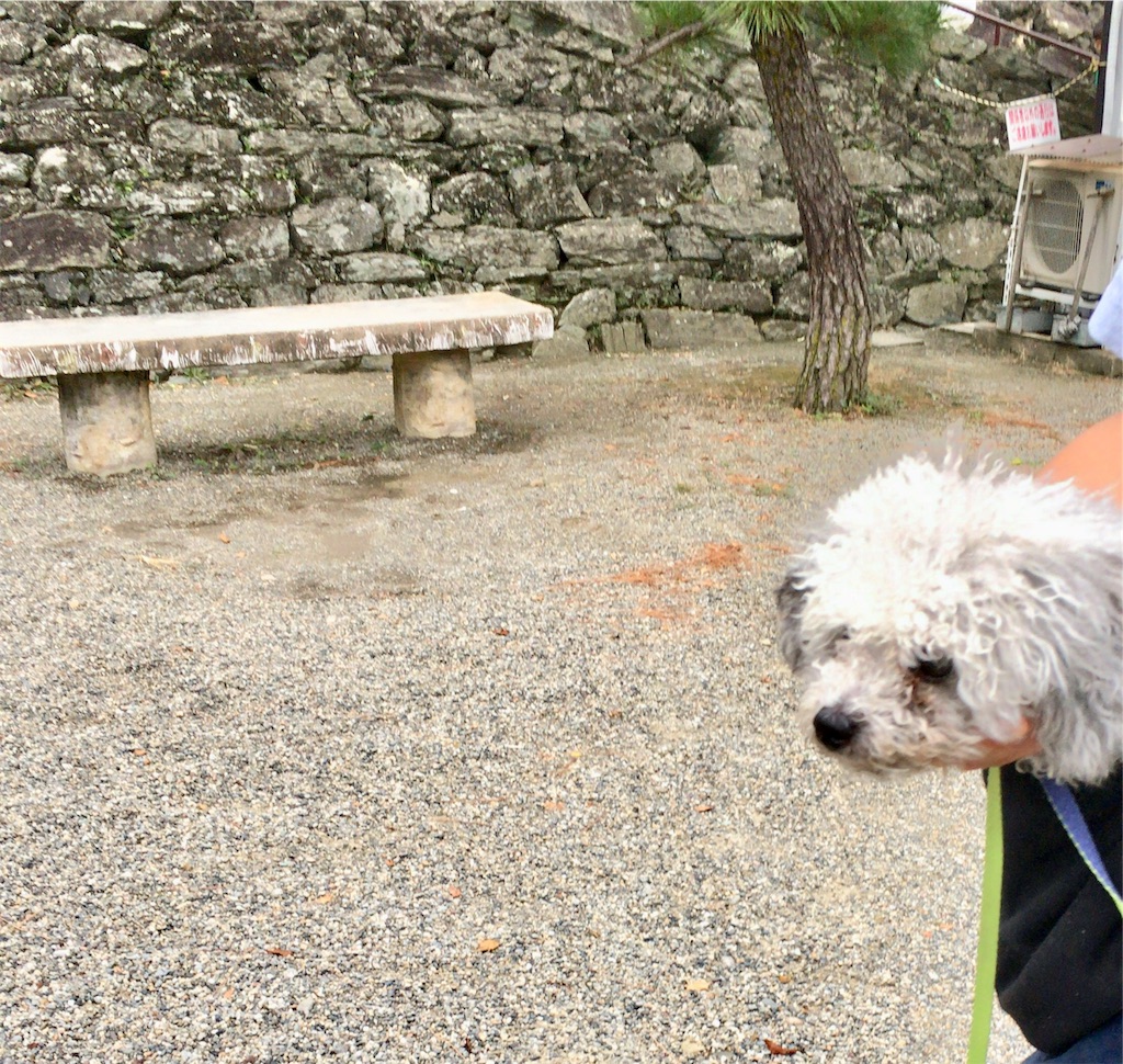 f:id:minghuabj:20190825122508j:image