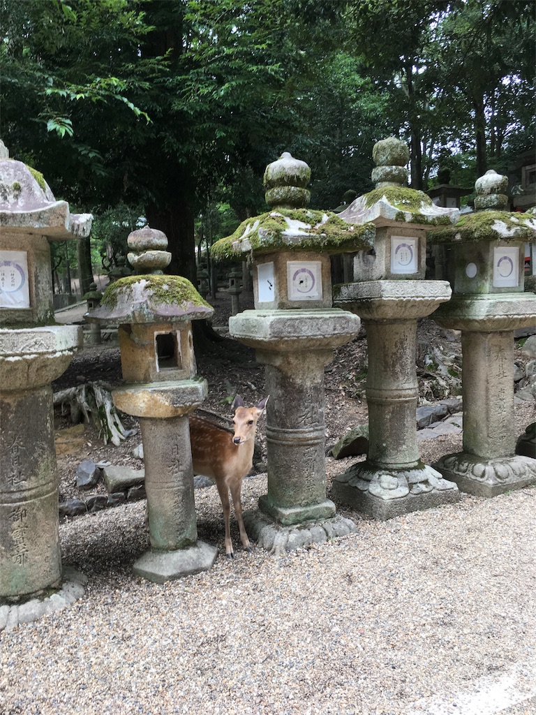 f:id:minghuabj:20190827211734j:image