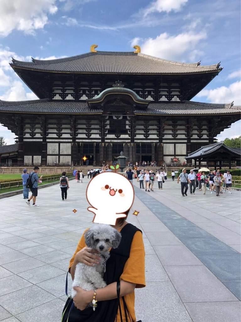 f:id:minghuabj:20190901153834j:image