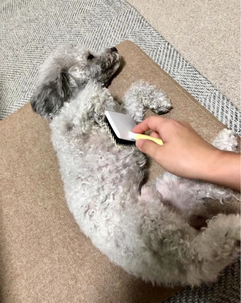 f:id:minghuabj:20190919143242j:image