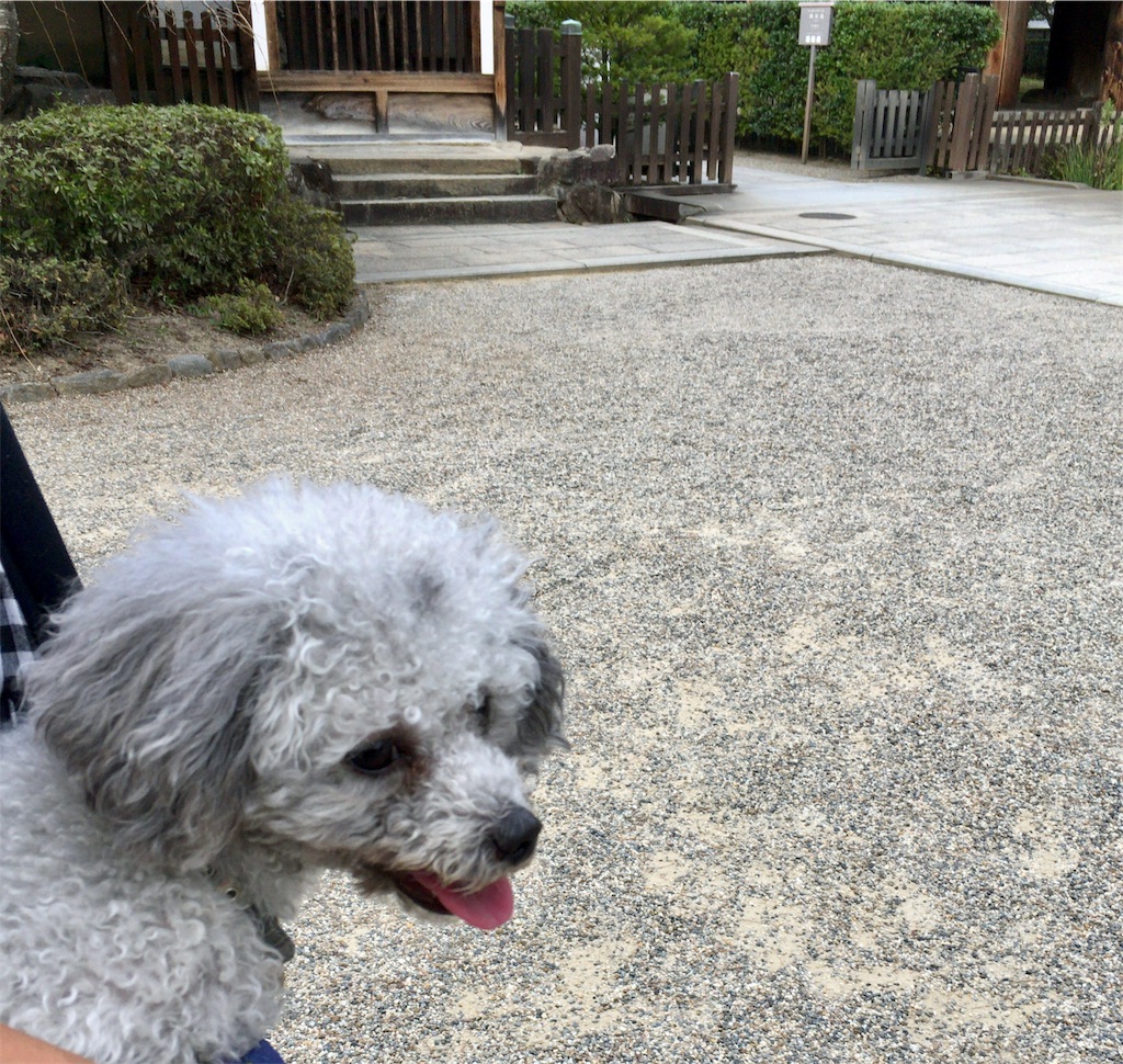 f:id:minghuabj:20190929210923j:image