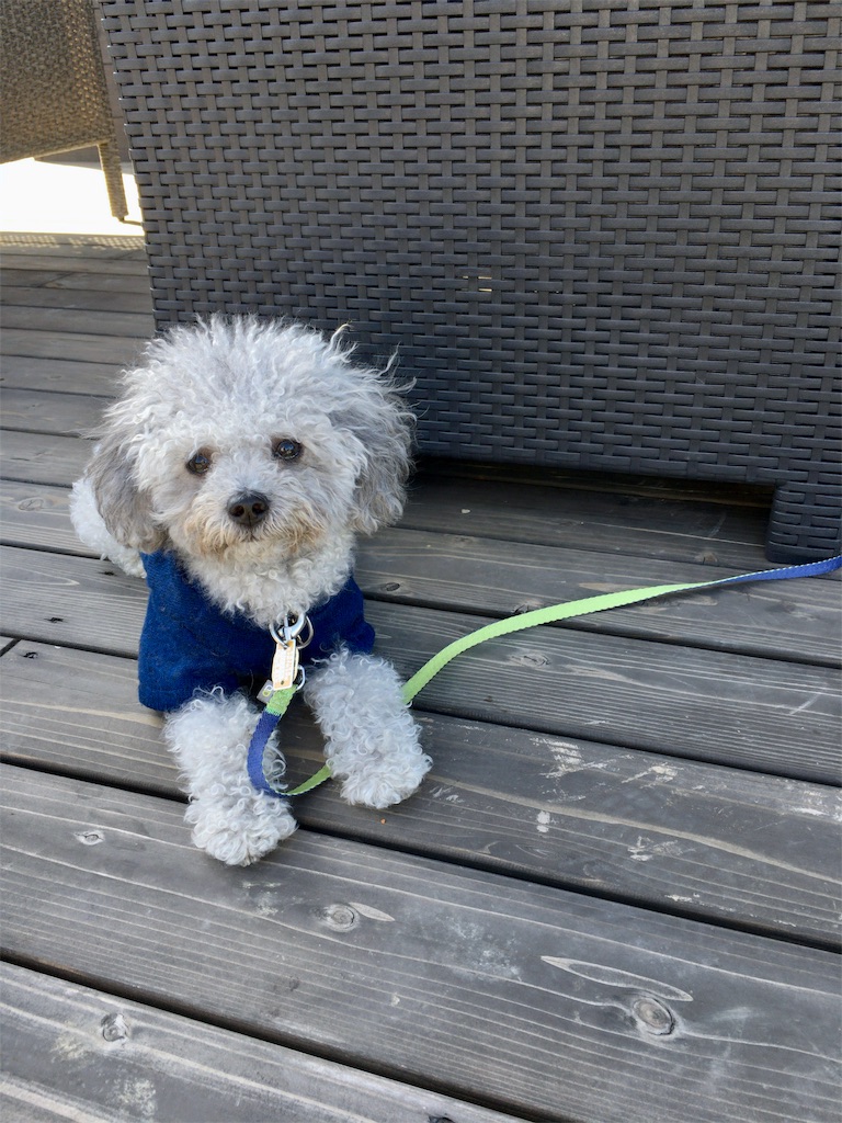 f:id:minghuabj:20191108161224j:image