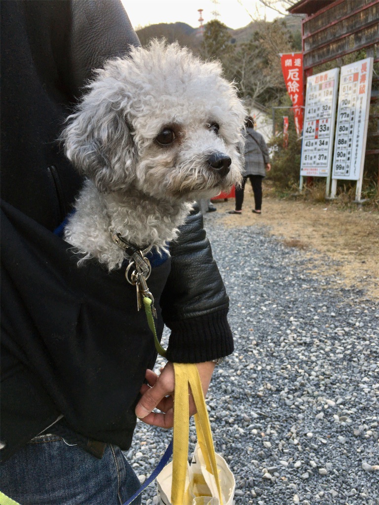 f:id:minghuabj:20200102191820j:image