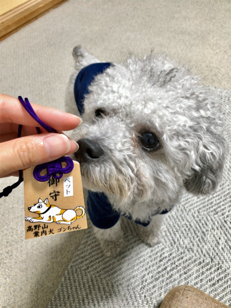 f:id:minghuabj:20200102191829j:image