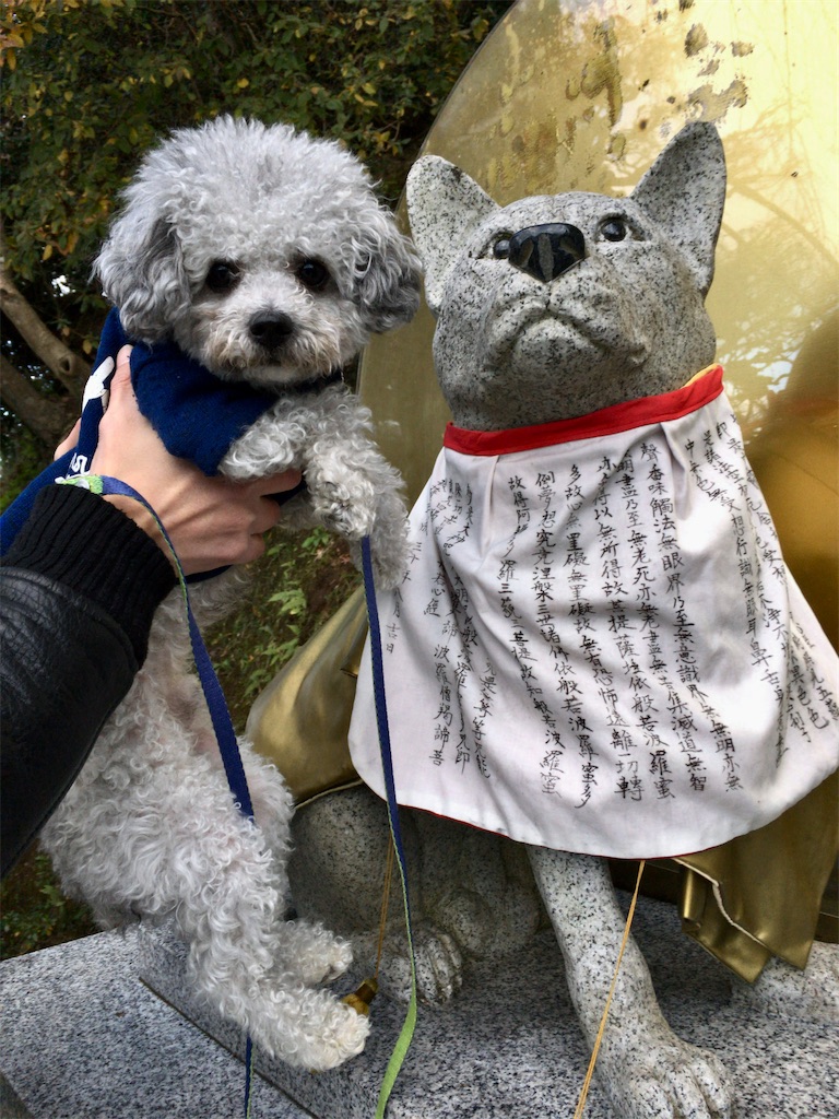 f:id:minghuabj:20200102191846j:image