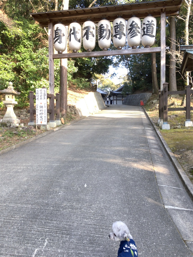 f:id:minghuabj:20200205183416j:image f:id:minghuabj:20200205183416j:image