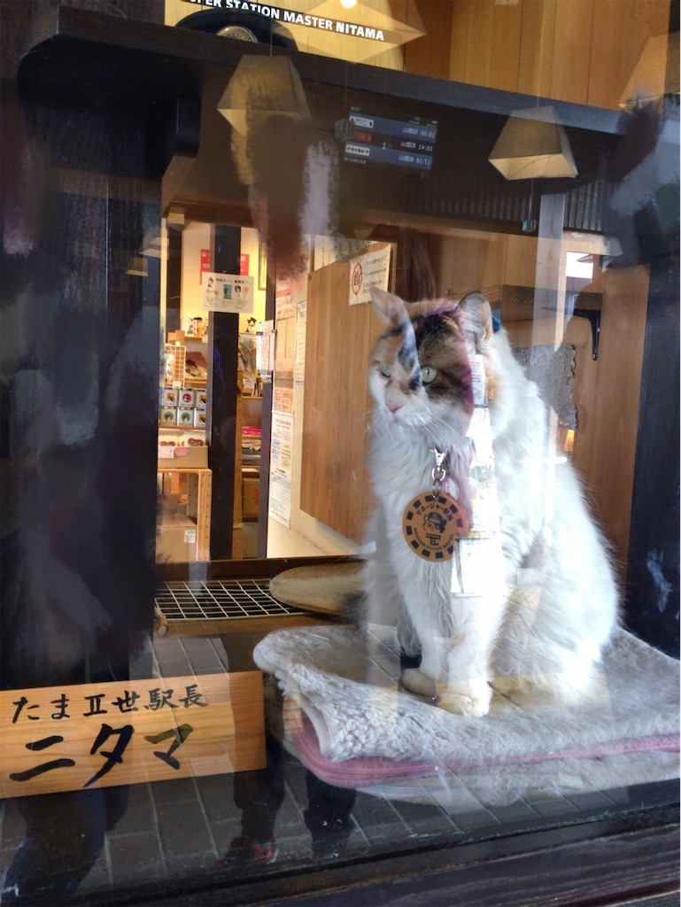 f:id:minghuabj:20200213155028j:image