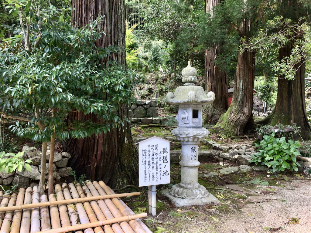 f:id:minghuabj:20200610231820j:image