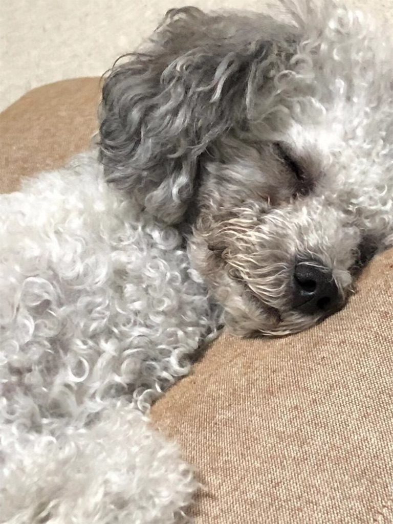 f:id:minghuabj:20200610232152j:image