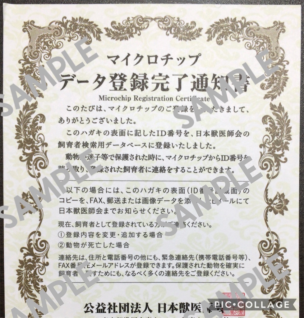 f:id:minghuabj:20200801193514j:image
