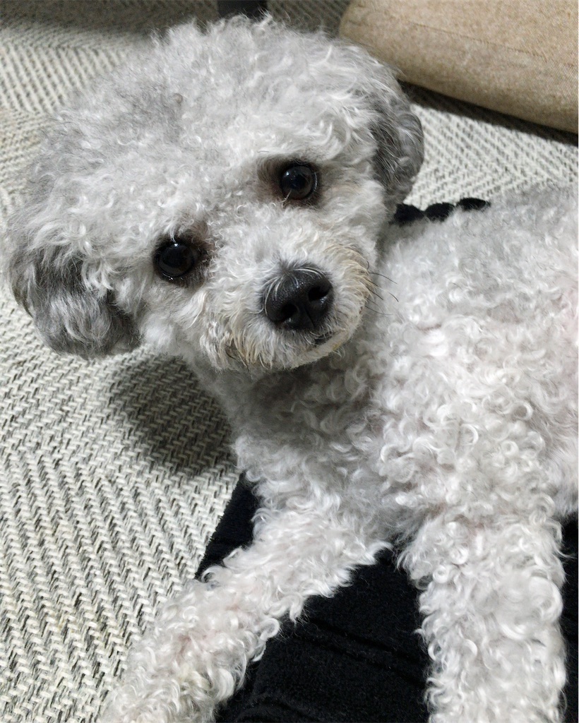 f:id:minghuabj:20200801193854j:image