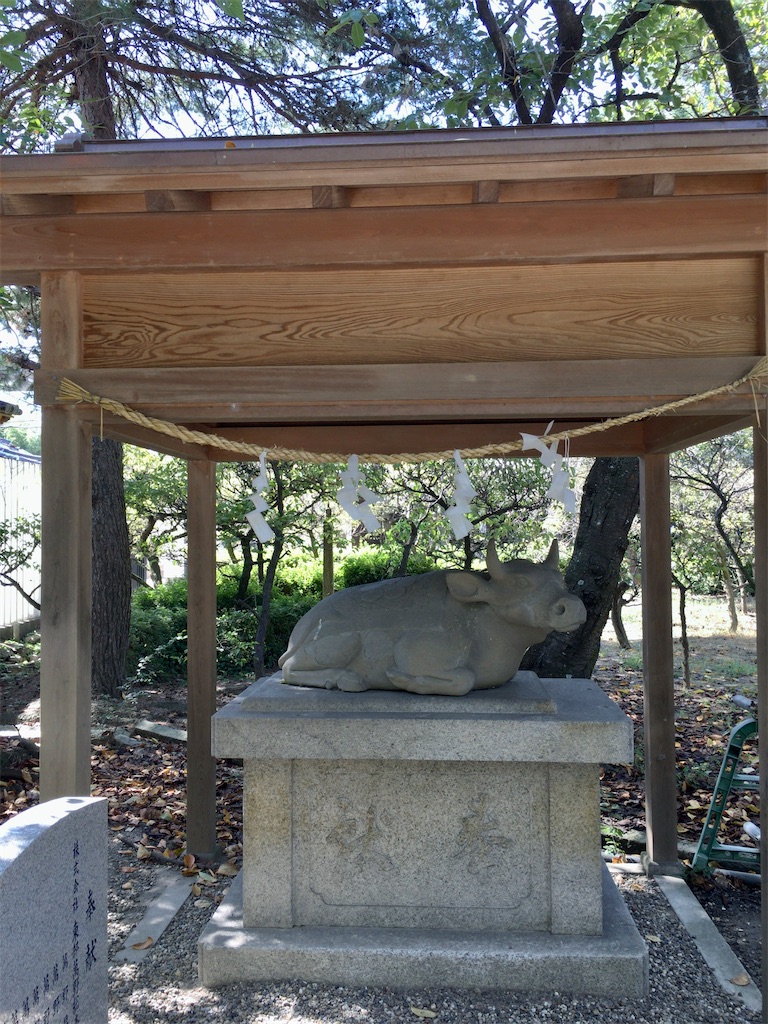 f:id:minghuabj:20200925104642j:image