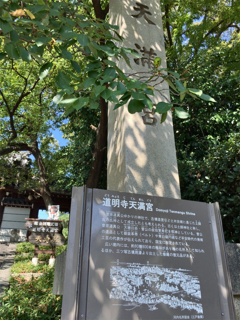 f:id:minghuabj:20200925104724j:image