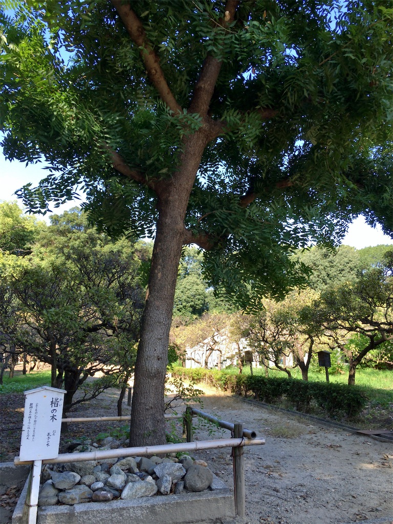 f:id:minghuabj:20200925104943j:image