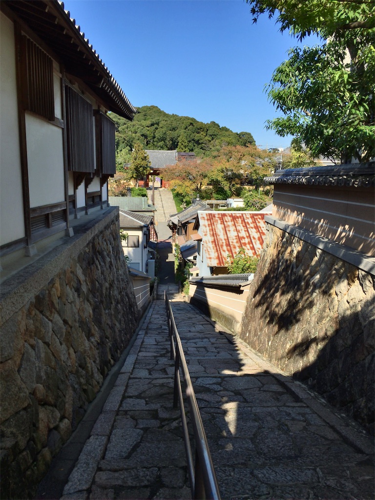 f:id:minghuabj:20201031002638j:image