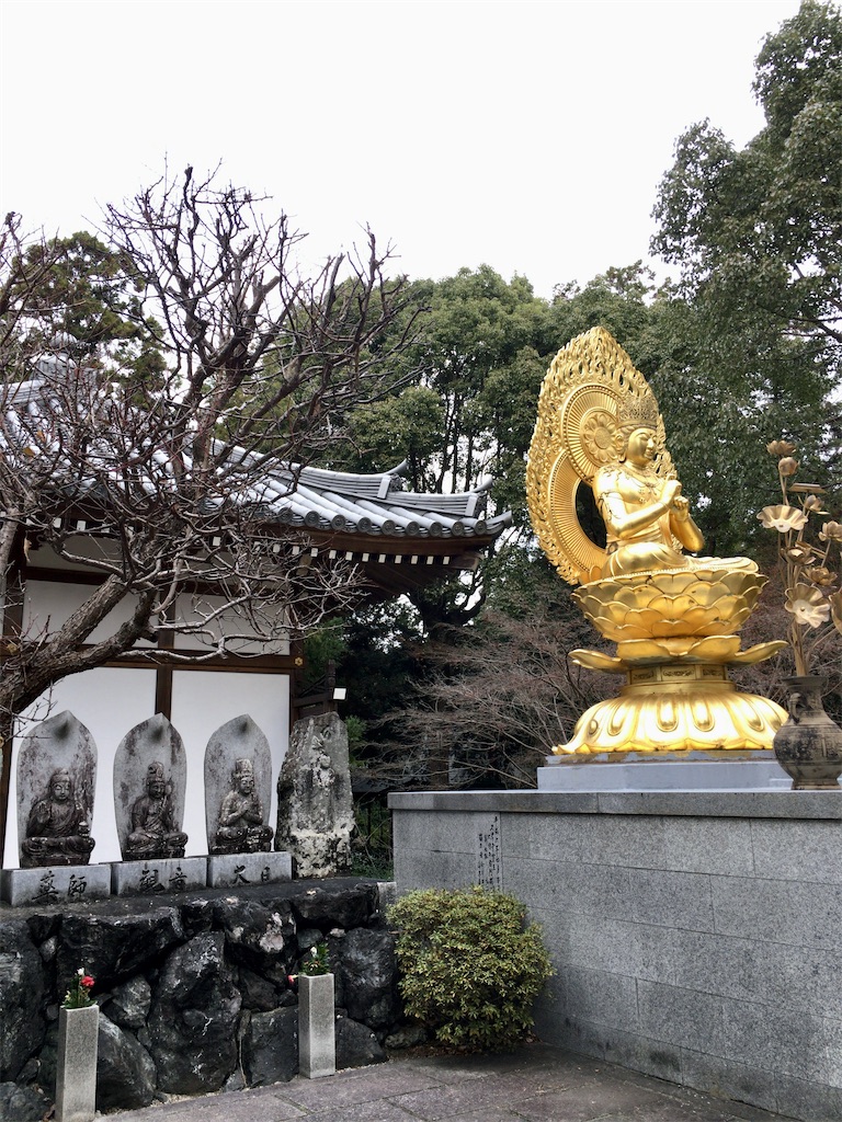 f:id:minghuabj:20201128234143j:image