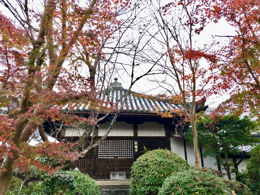 f:id:minghuabj:20201128234254j:image