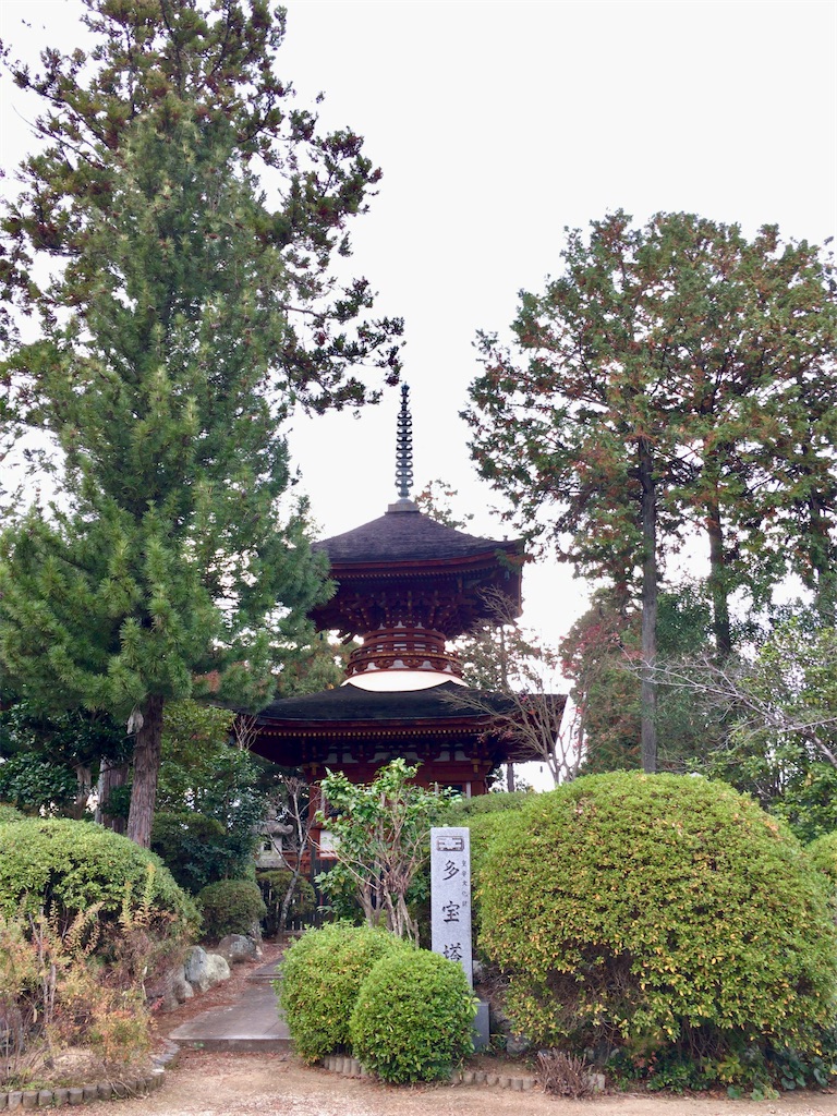 f:id:minghuabj:20201128234535j:image