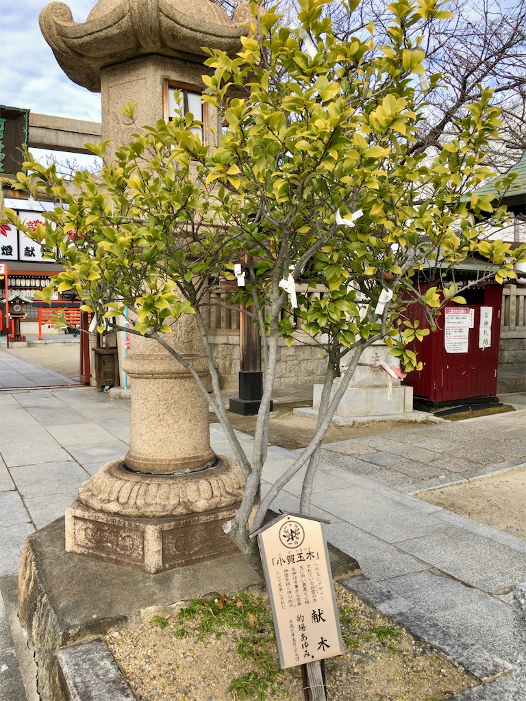 f:id:minghuabj:20201228235410j:image