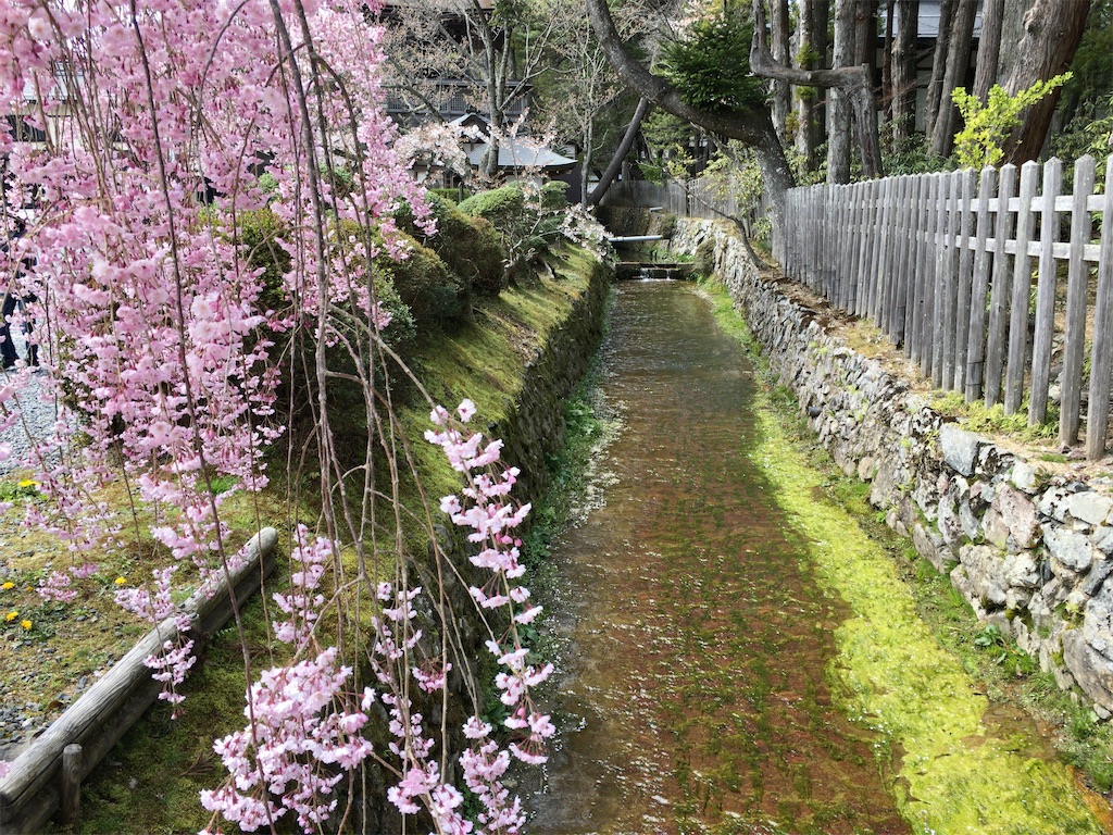 f:id:minghuabj:20210412000117j:image f:id:minghuabj:20210412000117j:image