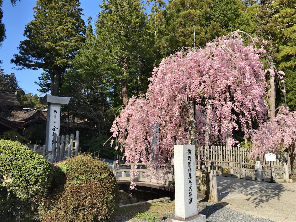f:id:minghuabj:20210412000124j:image f:id:minghuabj:20210412000124j:image