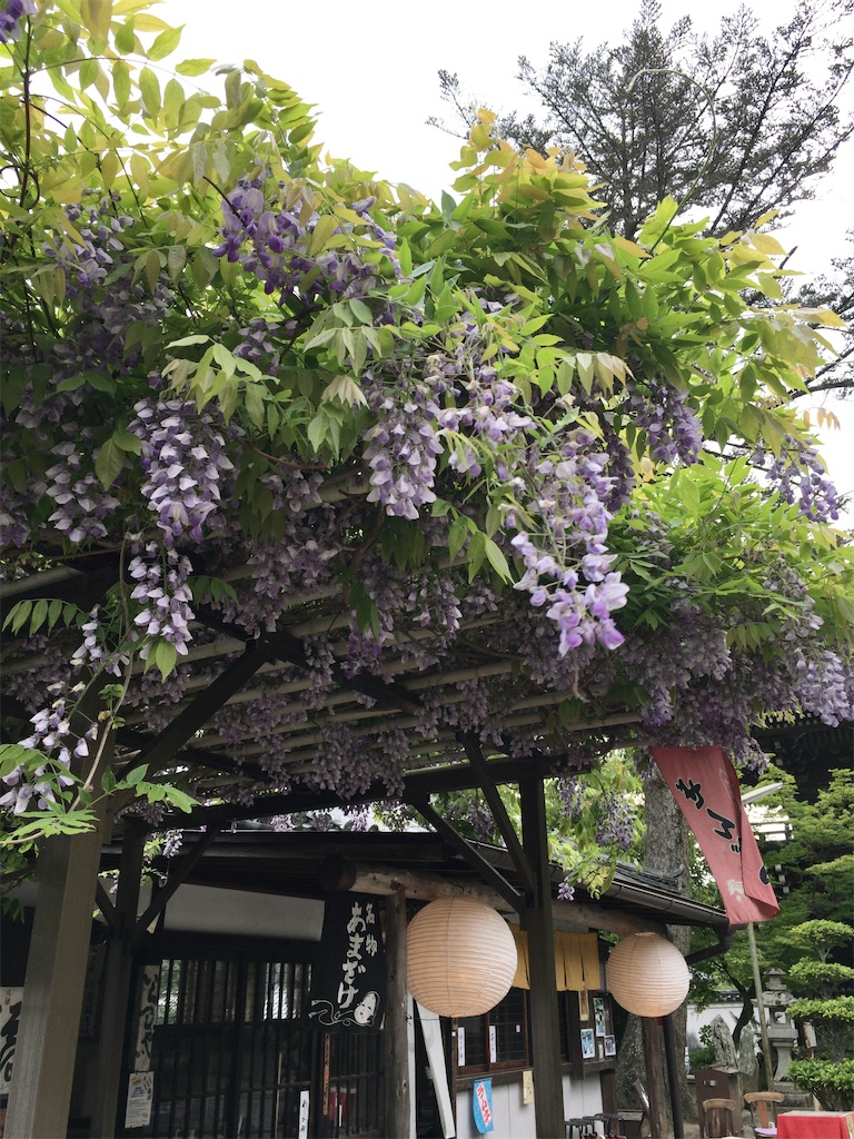 f:id:minghuabj:20210425003327j:image f:id:minghuabj:20210425003327j:image