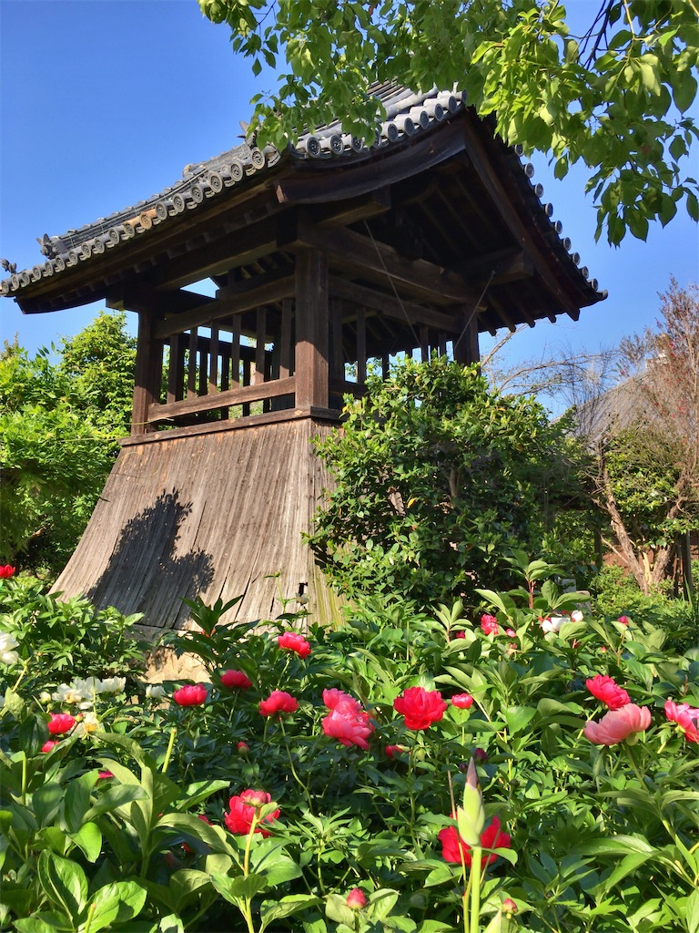 f:id:minghuabj:20210504215025j:image