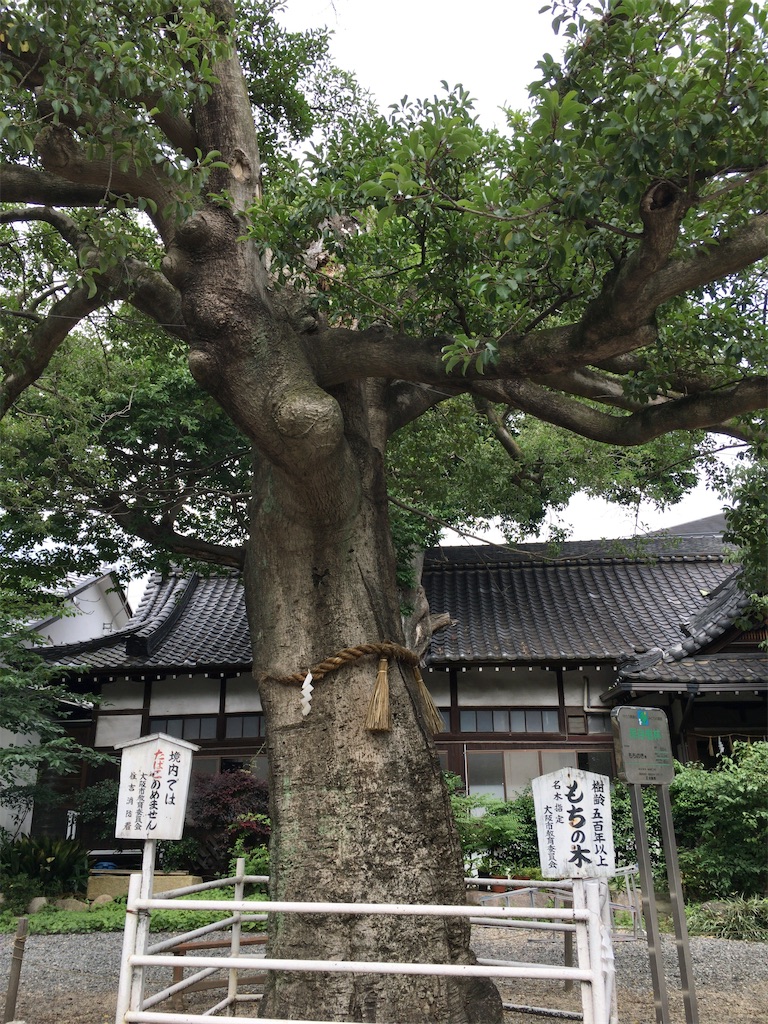 f:id:minghuabj:20210614224851j:image