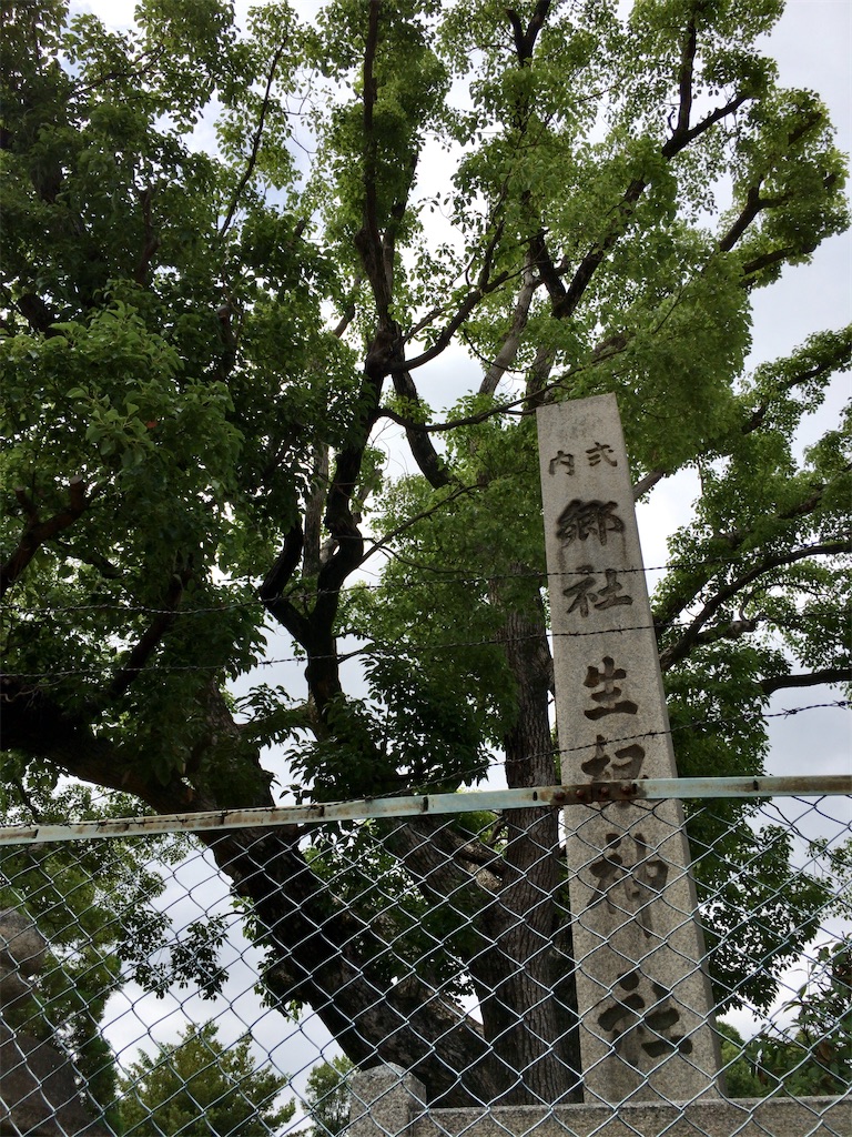 f:id:minghuabj:20210614224915j:image