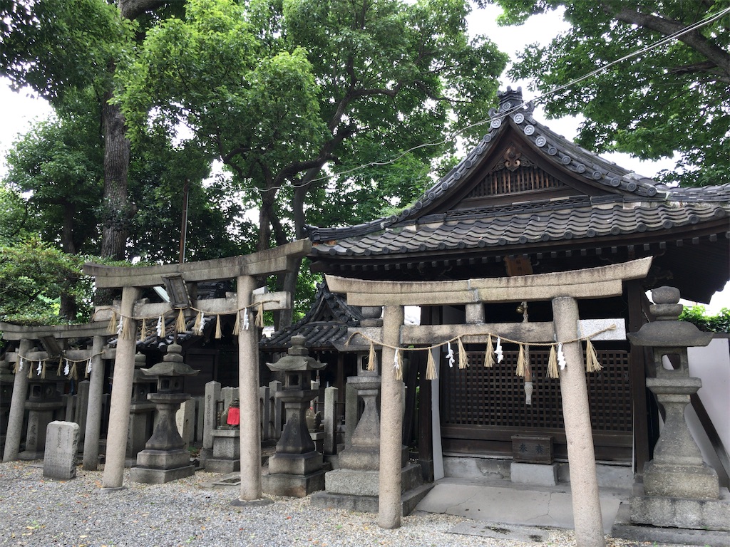 f:id:minghuabj:20210614224944j:image