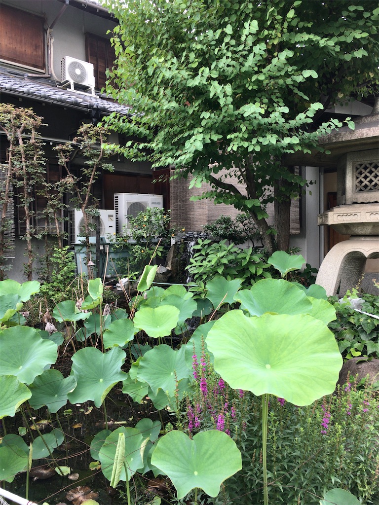 f:id:minghuabj:20210710224306j:image